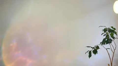 Snapshot of hannah_levis_ chatting on February 2026 08:02:02 AM hannah levis online show from February 2026 08:02:02 AM