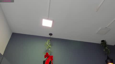 Snapshot of hannah_miller__ chatting on December 2024 11:26:01 AM HANNAH MILLER online show from December 2024 11:26:01 AM