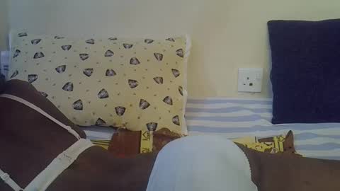 Snapshot of happy_kienyeji chatting on December 2025 07:53:02 PM happy_kienyeji online show from December 2025 07:53:02 PM