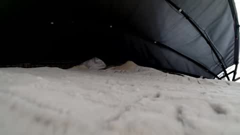 happyactive online show from October 2025 10:34:02 AM