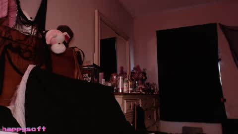 Snapshot of happysoft chatting on January 2026 05:04:02 PM meatwad online show from January 2026 05:04:02 PM