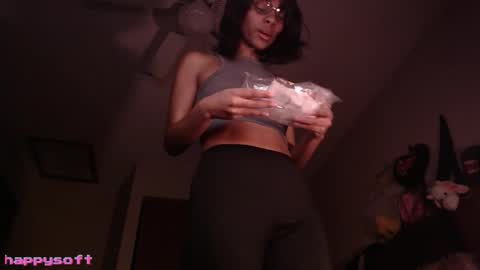 Snapshot of happysoft chatting on January 2026 02:44:01 PM meatwad online show from January 2026 02:44:01 PM