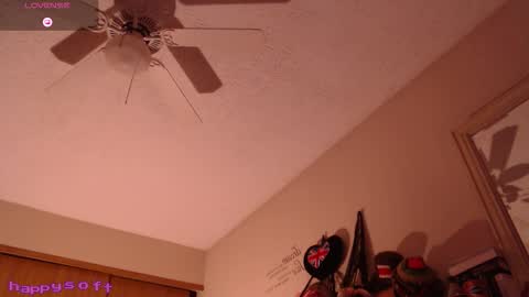 Snapshot of happysoft chatting on February 2026 02:25:01 PM meatwad online show from February 2026 02:25:01 PM