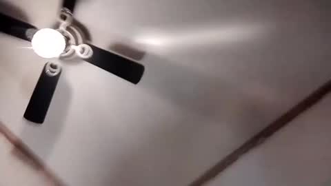 hardcock4u1973 online show from March 2025 08:44:01 AM