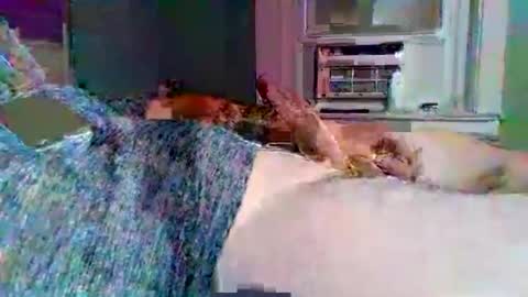 Snapshot of hardcockoncam22 chatting on November 2025 02:02:02 AM cervixpainter25 online show from November 2025 02:02:02 AM