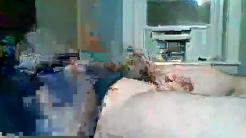 Snapshot of hardcockoncam22 chatting on November 2025 06:50:01 AM cervixpainter25 online show from November 2025 06:50:01 AM