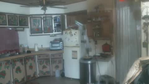 john nobles online show from January 2025 09:30:02 PM