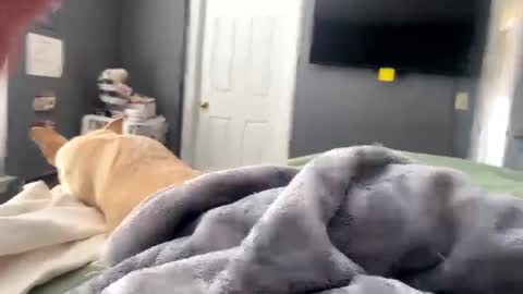 Snapshot of hardnthickm55 chatting on January 2025 04:04:01 PM hardnthickm55 online show from January 2025 04:04:01 PM