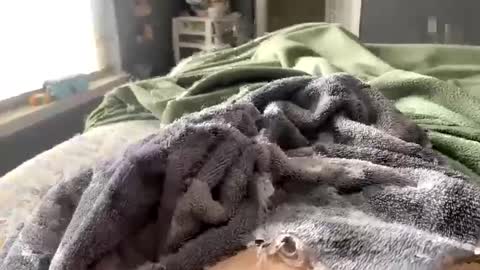 Snapshot of hardnthickm55 chatting on February 2025 06:51:02 PM hardnthickm55 online show from February 2025 06:51:02 PM