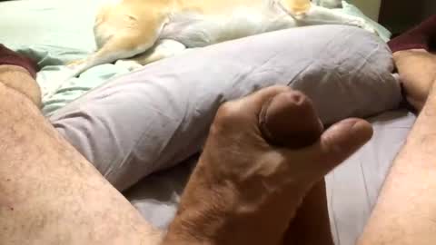 Snapshot of harleycpl chatting on November 2025 01:16:02 AM Harley99 online show from November 2025 01:16:02 AM