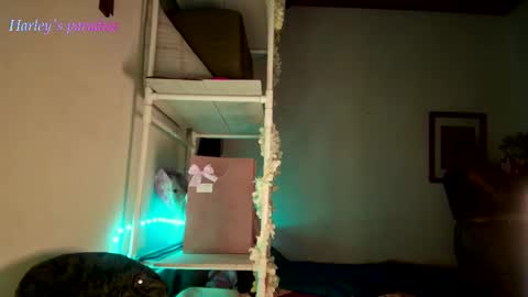 900 am to 300 pm - GTM 5 Weekdays online show from November 2025 06:16:02 AM