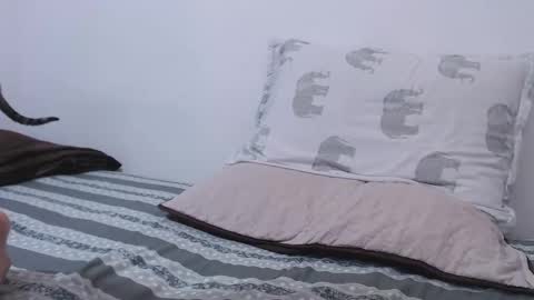 Harold Cruz online show from January 2025 11:38:02 PM