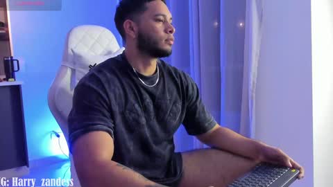 Snapshot of harry_zandess chatting on February 2025 04:21:01 AM Harry Zandes online show from February 2025 04:21:01 AM
