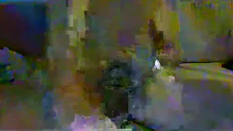 Snapshot of harryhavana chatting on February 2025 07:44:01 AM harryhavana online show from February 2025 07:44:01 AM