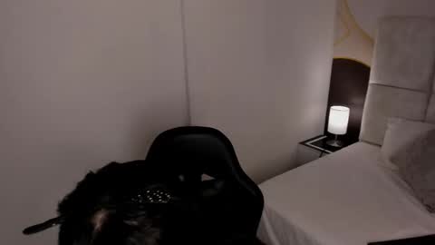 has_gonzalezz online show from November 2025 04:46:02 AM