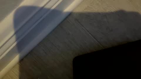 Snapshot of haufd chatting on January 2026 03:54:02 AM haufd online show from January 2026 03:54:02 AM