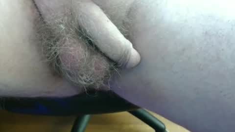 Snapshot of hawk828796136 chatting on June 2026 09:11:01 AM febox online show from June 2026 09:11:01 AM