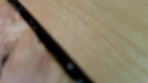 hdhdufu online show from November 2025 03:07:02 PM