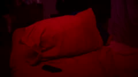 headgoat18 online show from February 2026 02:53:02 PM