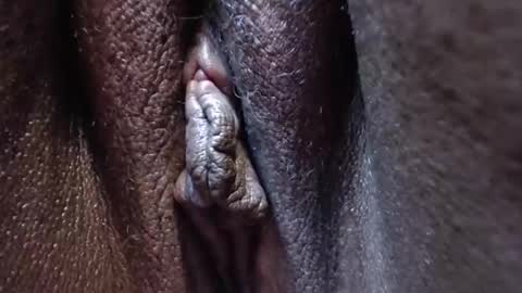 Heather online show from October 2025 03:36:02 PM