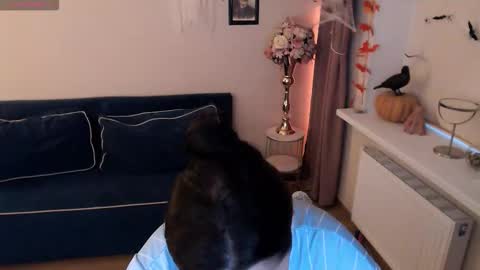 Heaven girl online show from November 2025 01:35:02 PM