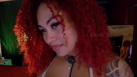 Snapshot of heidicox chatting on November 2025 03:27:01 AM Heidi online show from November 2025 03:27:01 AM