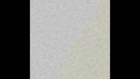   online show from December 2024 08:55:01 PM