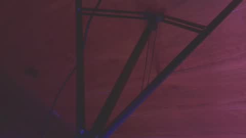    online show from October 2025 12:51:01 PM