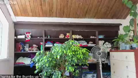 Anastasiia  online show from June 2026 09:01:01 AM