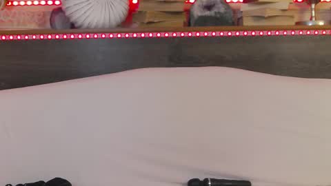    online show from February 2025 07:12:02 AM