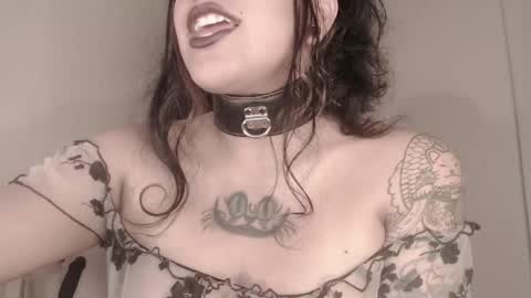 Snapshot of hello_demonkitty chatting on December 2024 03:03:02 AM SIMONA online show from December 2024 03:03:02 AM