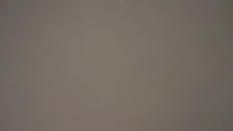 hellohowareyou66 online show from January 2025 12:31:02 AM