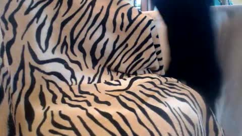 Snapshot of helvella chatting on February 2026 10:44:02 AM Helvell online show from February 2026 10:44:02 AM