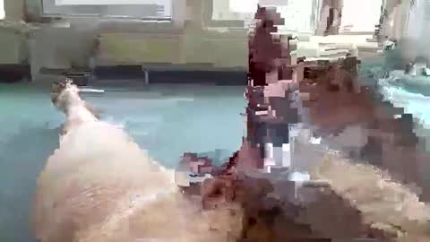 Snapshot of hera44 chatting on October 2025 10:57:02 AM hera44 online show from October 2025 10:57:02 AM