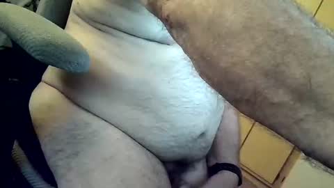 herbee online show from March 2026 02:16:02 AM