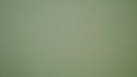 Snapshot of herbstenden chatting on December 2024 10:01:01 PM John Pearl online show from December 2024 10:01:01 PM