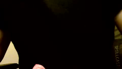 mr D online show from December 2024 12:54:01 AM