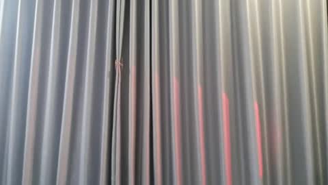 Snapshot of hersheys_aran chatting on December 2025 08:00:02 AM Aran online show from December 2025 08:00:02 AM