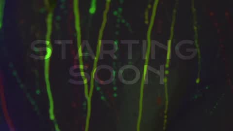 Alina online show from October 2025 07:55:01 PM