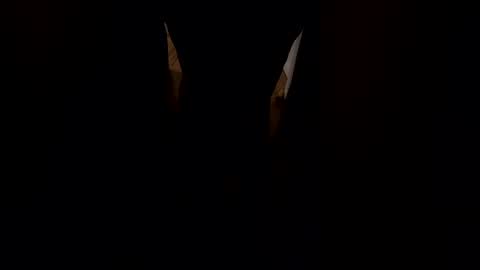 Gwen Elise online show from February 2026 04:33:01 AM