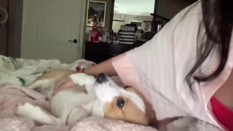 Snapshot of hiddenr0se chatting on February 2026 03:14:02 AM HiddenR0se online show from February 2026 03:14:02 AM