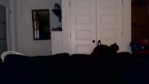 hightonight27 online show from February 2026 04:24:01 AM