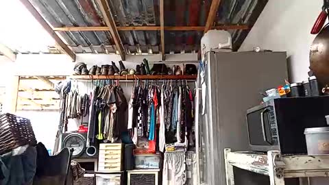 Snapshot of hippieguysa11 chatting on November 2025 09:53:01 AM hippieguysa11 online show from November 2025 09:53:01 AM