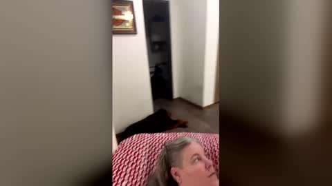 hippysnewhere online show from April 2026 04:14:02 AM