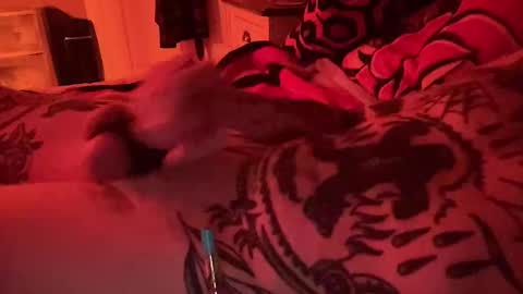 hogboneman online show from February 2026 04:16:02 AM