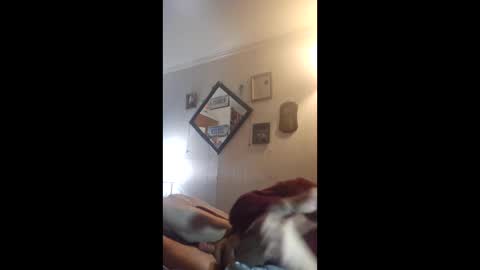Snapshot of hoglegg99384194 chatting on April 2026 04:32:01 AM hoglegg99384194 online show from April 2026 04:32:01 AM
