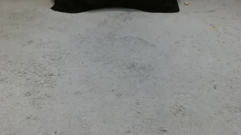 Holly Hawkes online show from January 2025 03:24:02 AM