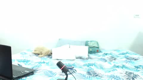 Holycode online show from February 2025 10:57:01 AM