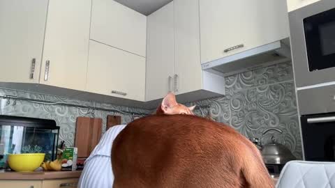 dori not holy get my tg channel with link from description under last photo online show from February 2025 08:53:02 AM