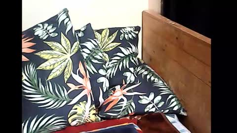 cristy online show from October 2025 10:10:01 PM